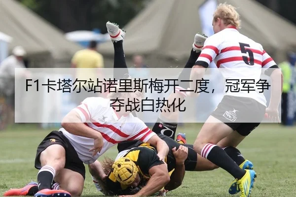 F1卡塔尔站诺里斯梅开二度，冠军争夺战白热化
