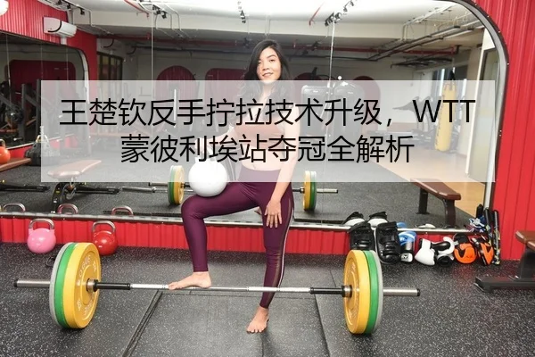 王楚钦反手拧拉技术升级，WTT蒙彼利埃站夺冠全解析